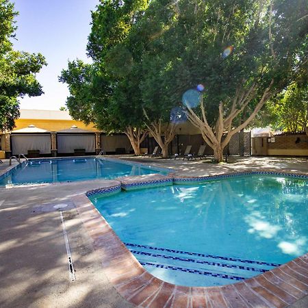 Hotel Araiza Mexicali Luaran gambar The pool at the Saguaro